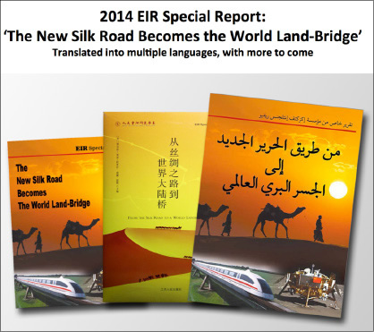 Cooper06_Reports.pdf