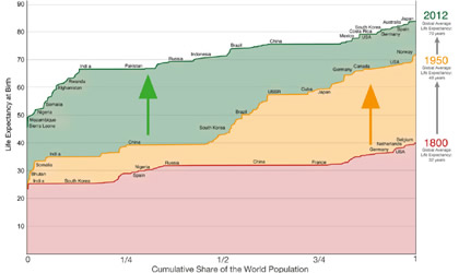 Ross02_Life%20expectancy.pdf
