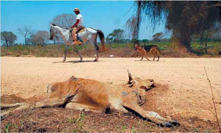 p1-fig02-FIRE%20Economy_CMYK.eps